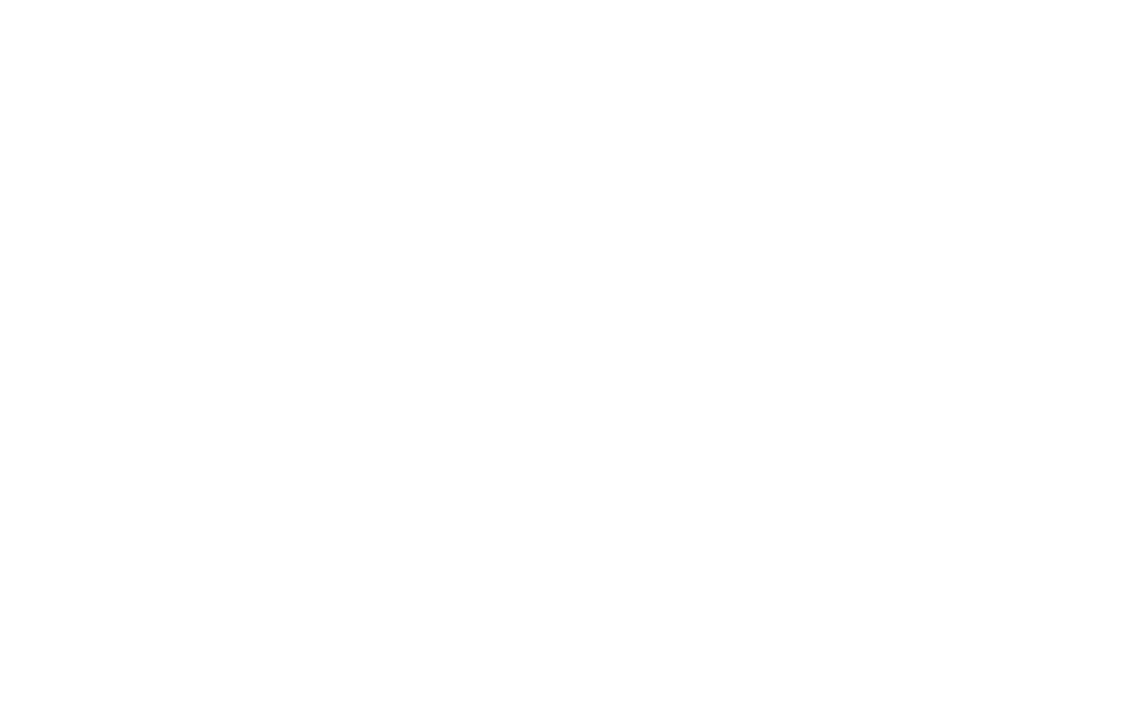 logo-irani-2020-branco