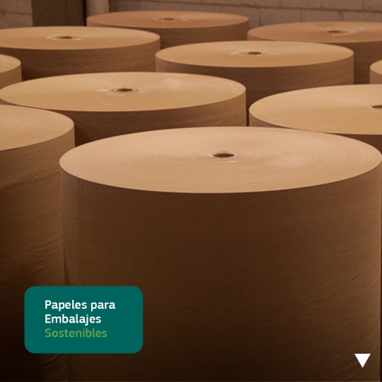 Papeles para Embalajes Sostenibles