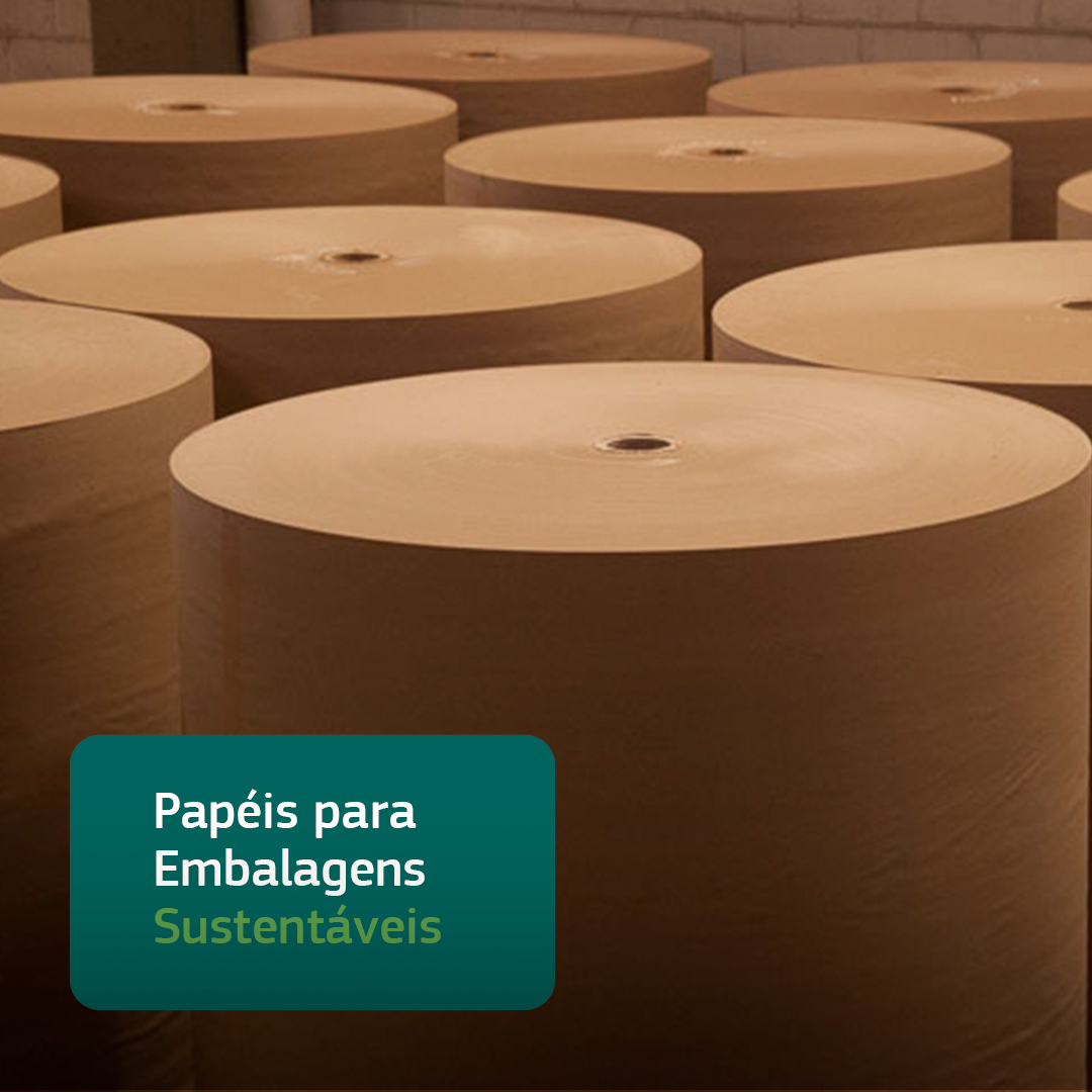 Papéis para Embalagens Sustentáveis