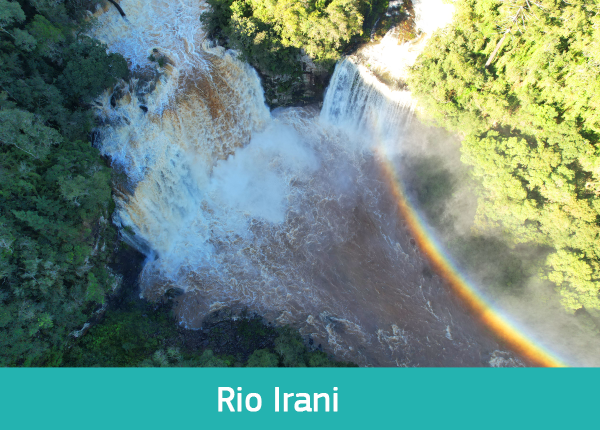large-Rio Irani